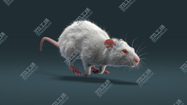 images/goods_img/20210312/Rat Fur Animated 3D model/1.jpg